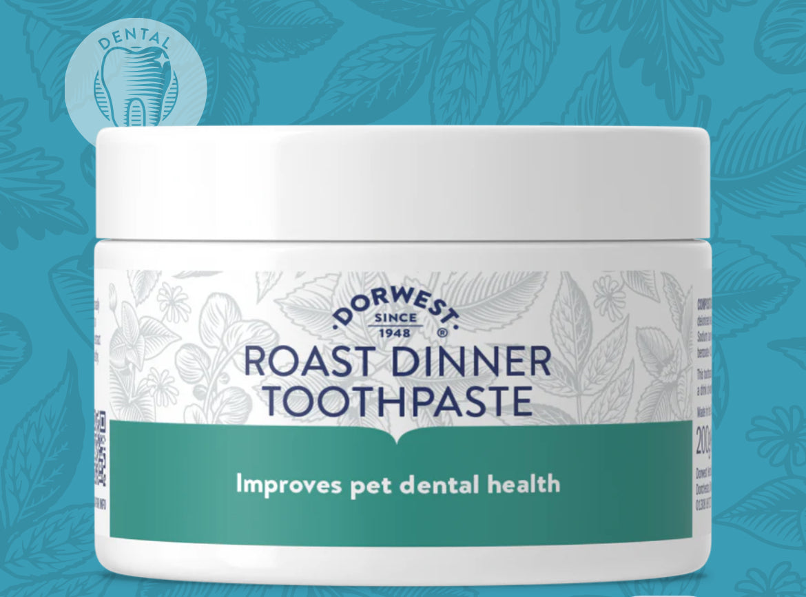 Dental Health - Roast Dinner Toothpaste - 200g