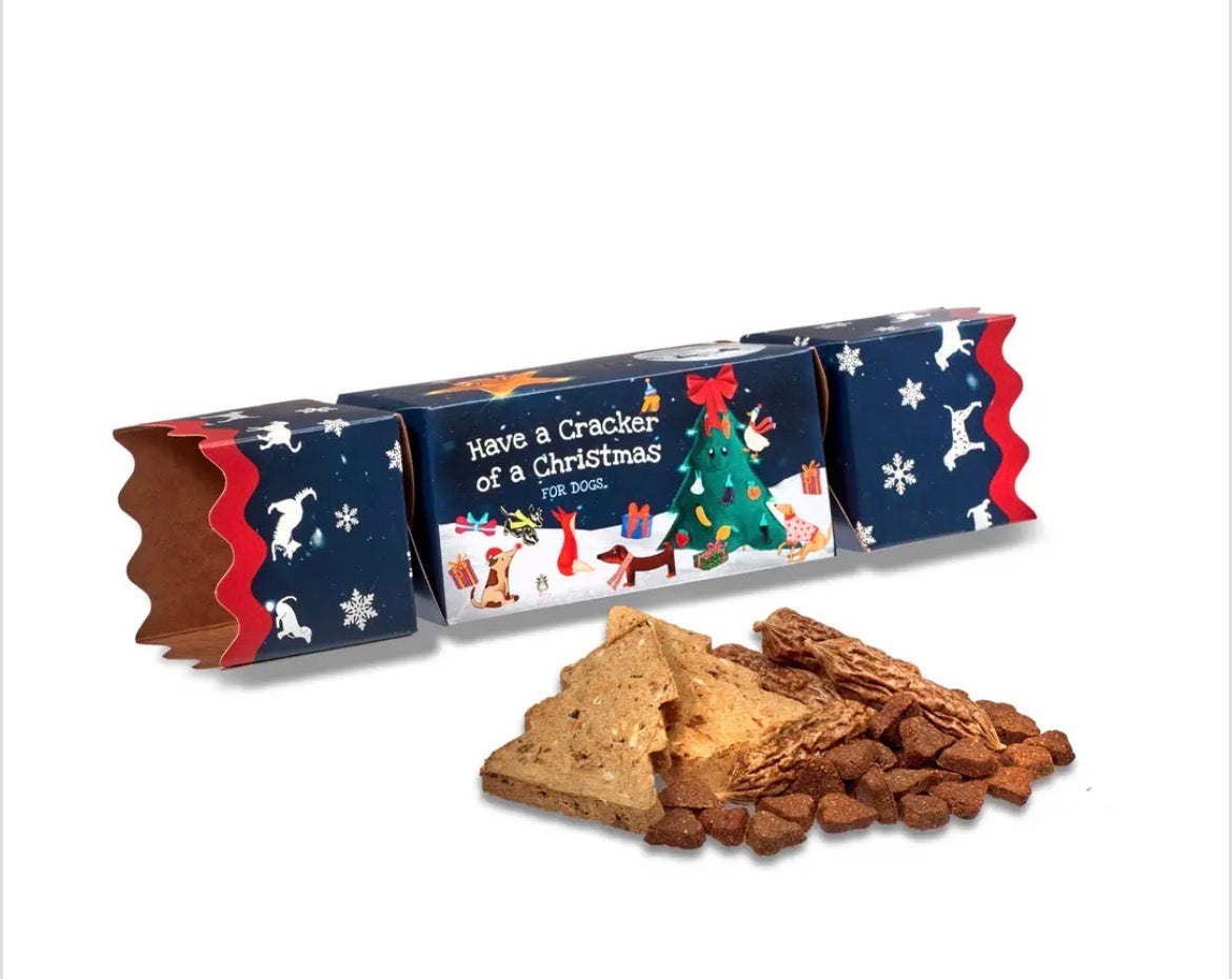 Christmas Cracker