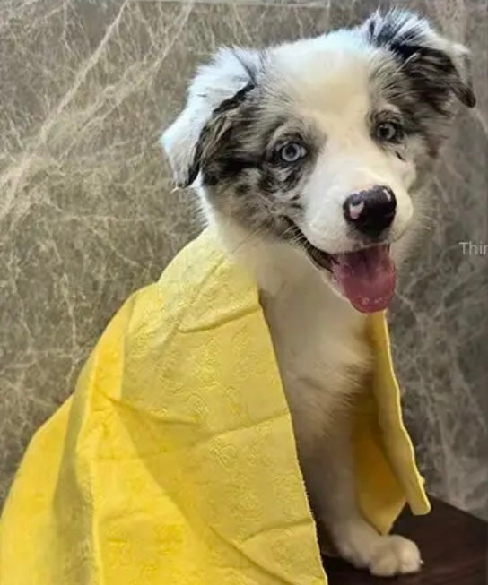 Super cooling and Drying Towel