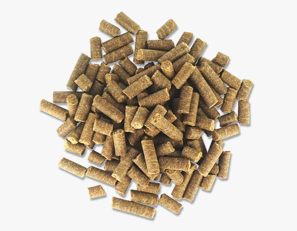 Wilsons Chicken Cold Pressed - Working Dog Food