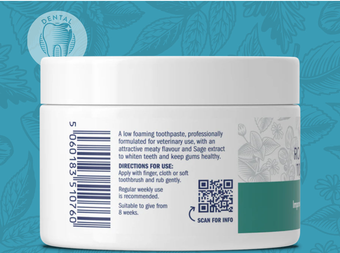 Dental Health - Roast Dinner Toothpaste - 200g