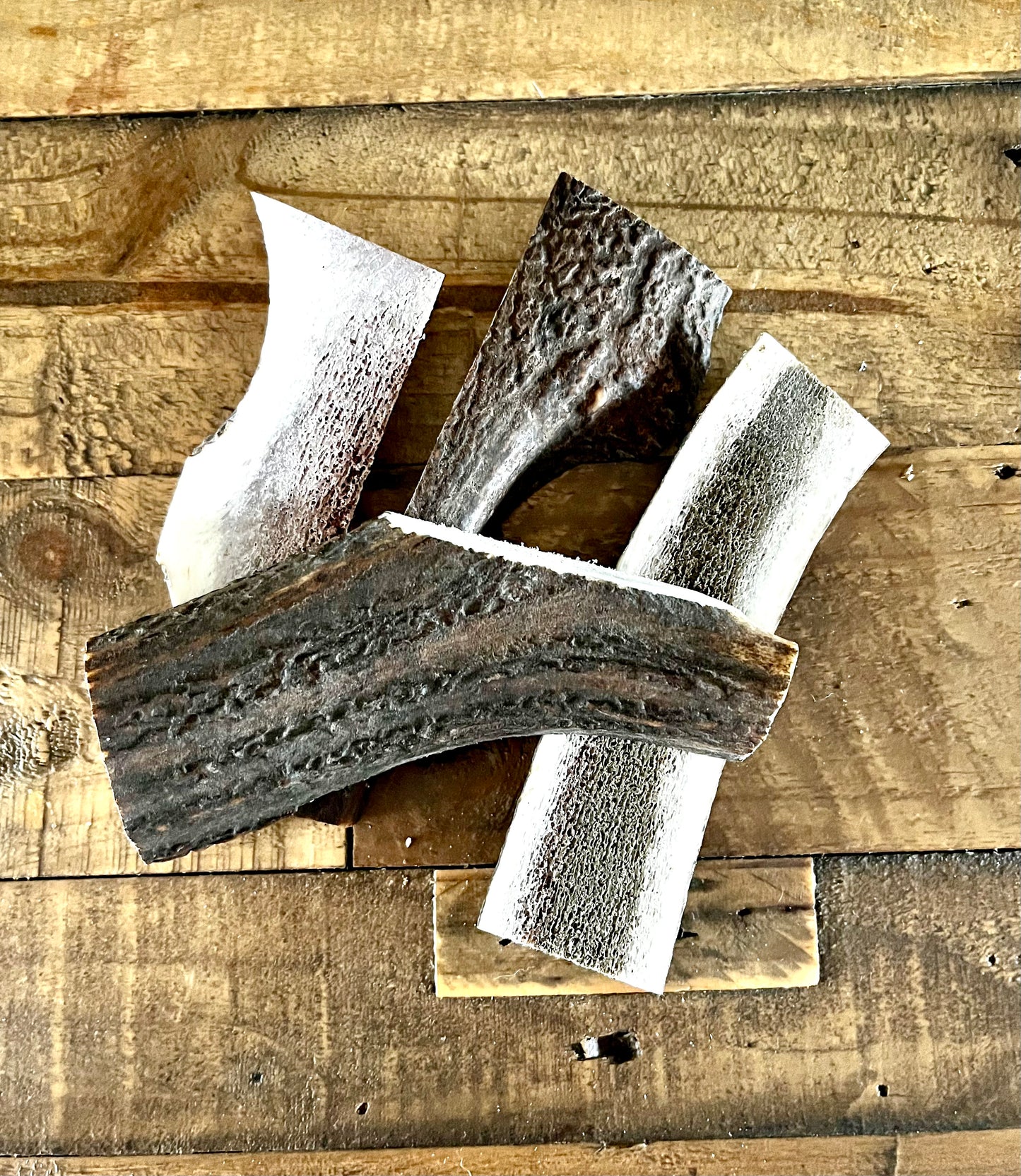 Split Deer Antler 51 - 80g