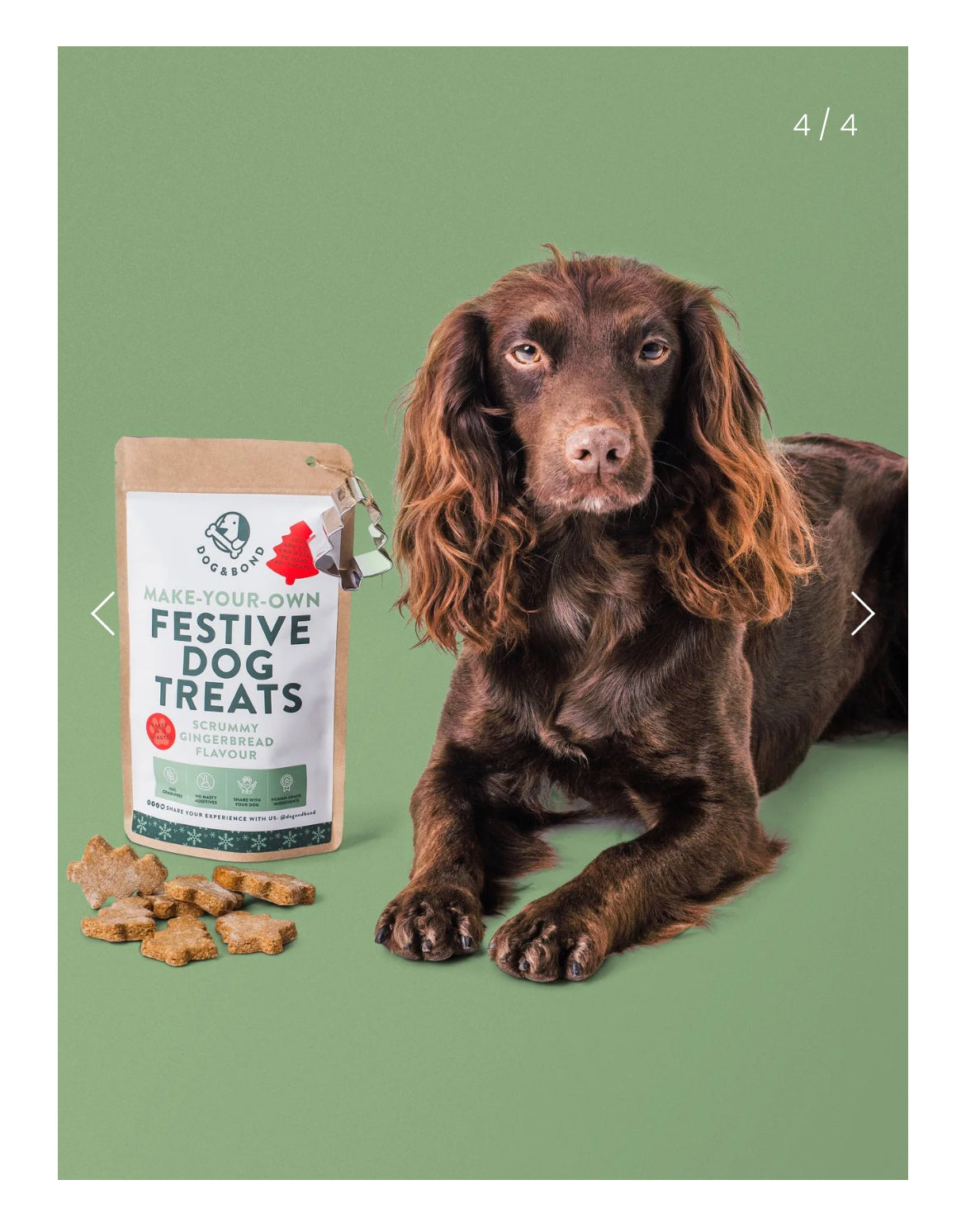 Bake-Your-Own Christmas Dog Treats: Scrummy Gingerbread Flavour 🎄