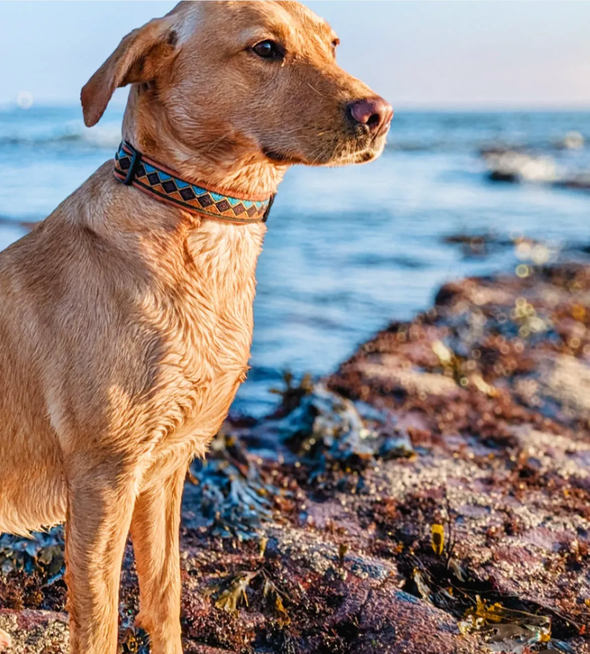 Wildbarc Matterhorn Jacquard Collection