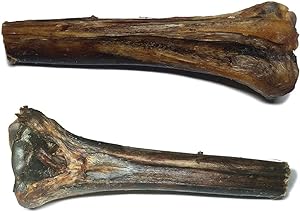 Ostrich Large Tibia Bone