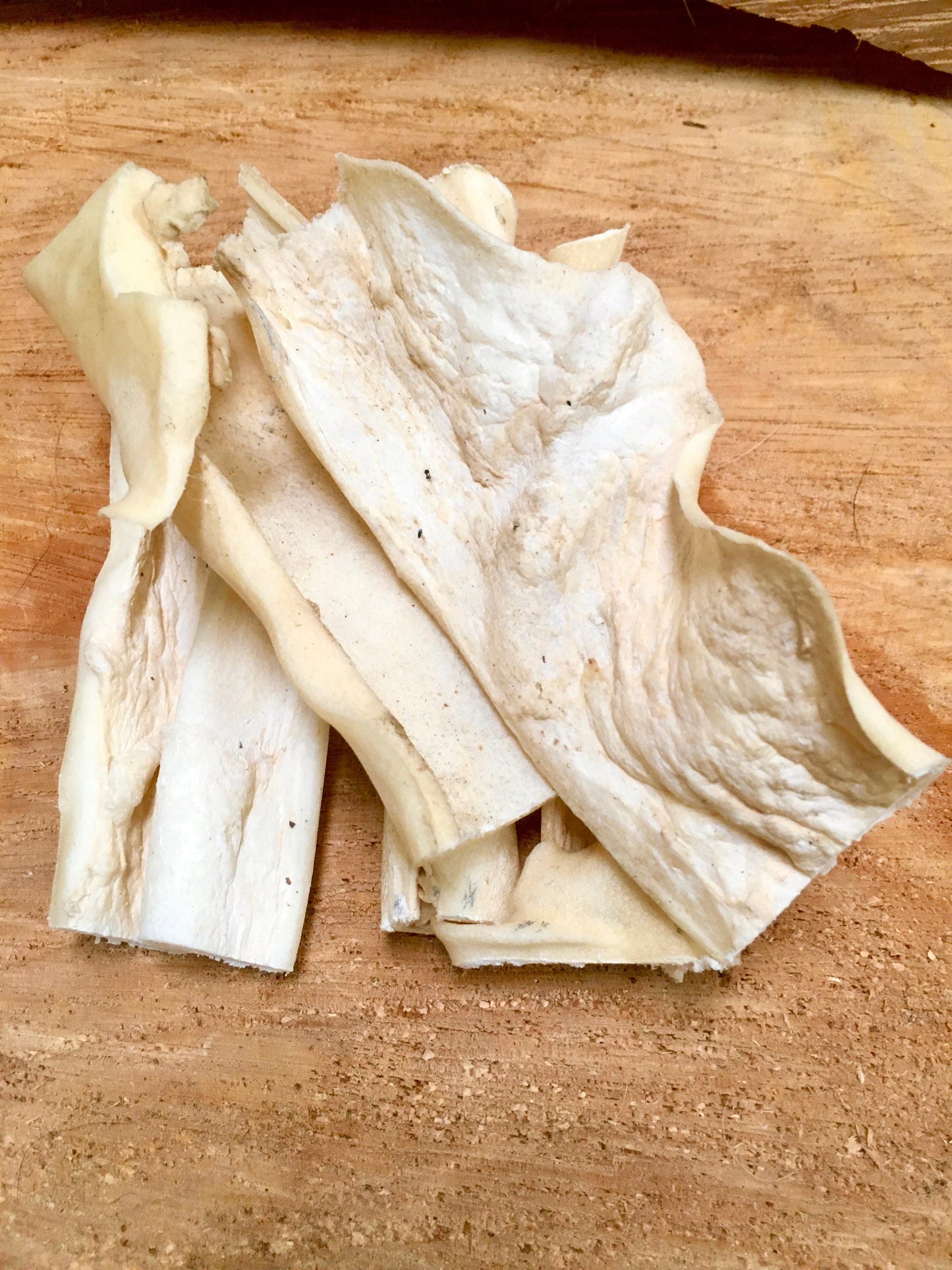 BUNDLE DEAL Lamb - 200g Lamb Skin (no Fur), 1 Lamb Horn, 2 Lamb Pizzle