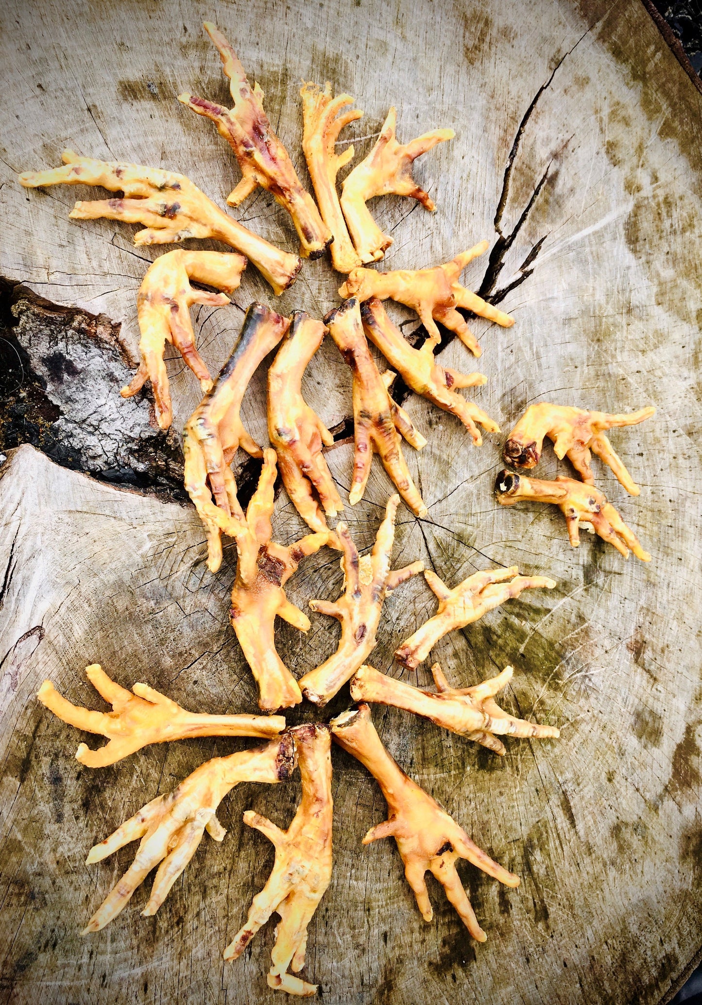 Bulk Buy Bundle - 500g Rabbit Ears, 500g Chicken Feet, 500g Lamb Trachea