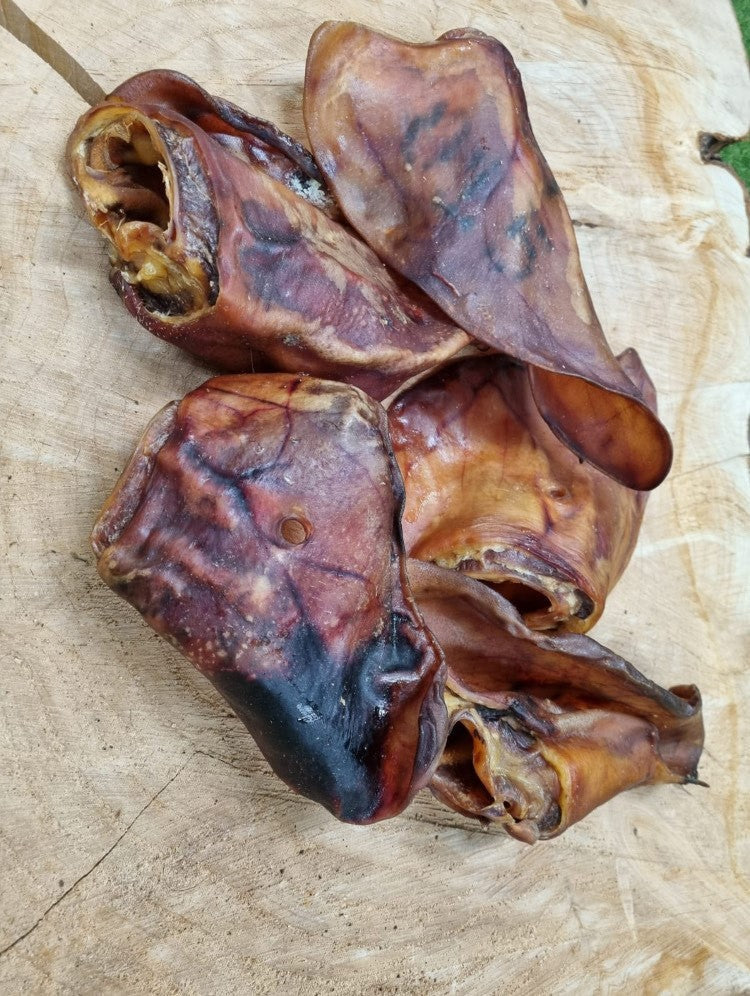 Giant Sow Ear Treats- approx. 135g each - 1 Ear