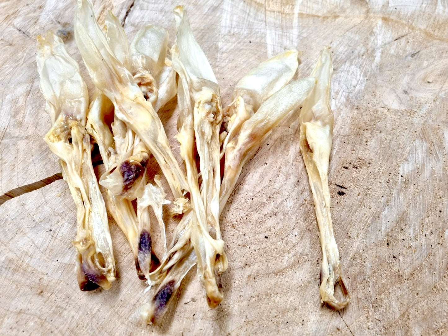 Rabbit Ear Treats - No Hair (Bald)