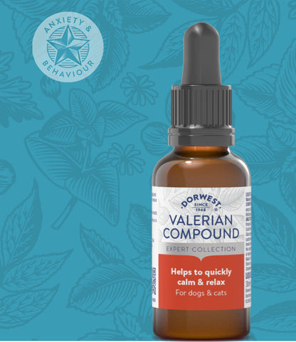 Anxiety Relief - Valerian Compound For Dogs And Cats - 30ml Liquid