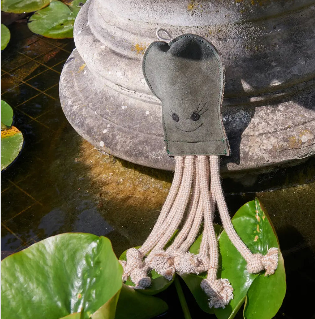 Olive The Octopus