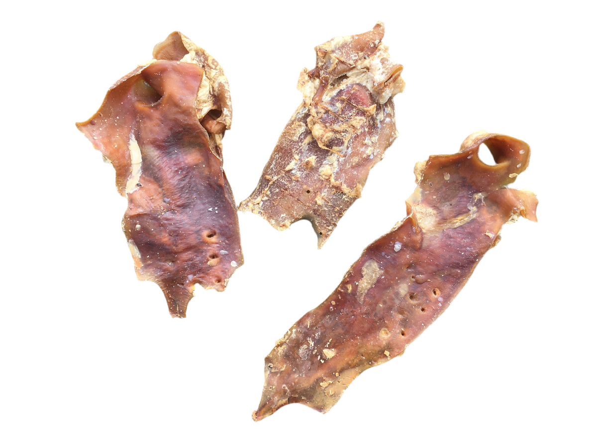 Moonbone Beef Beef Aorta (Moon Bone) - Each – FID Natural Treats
