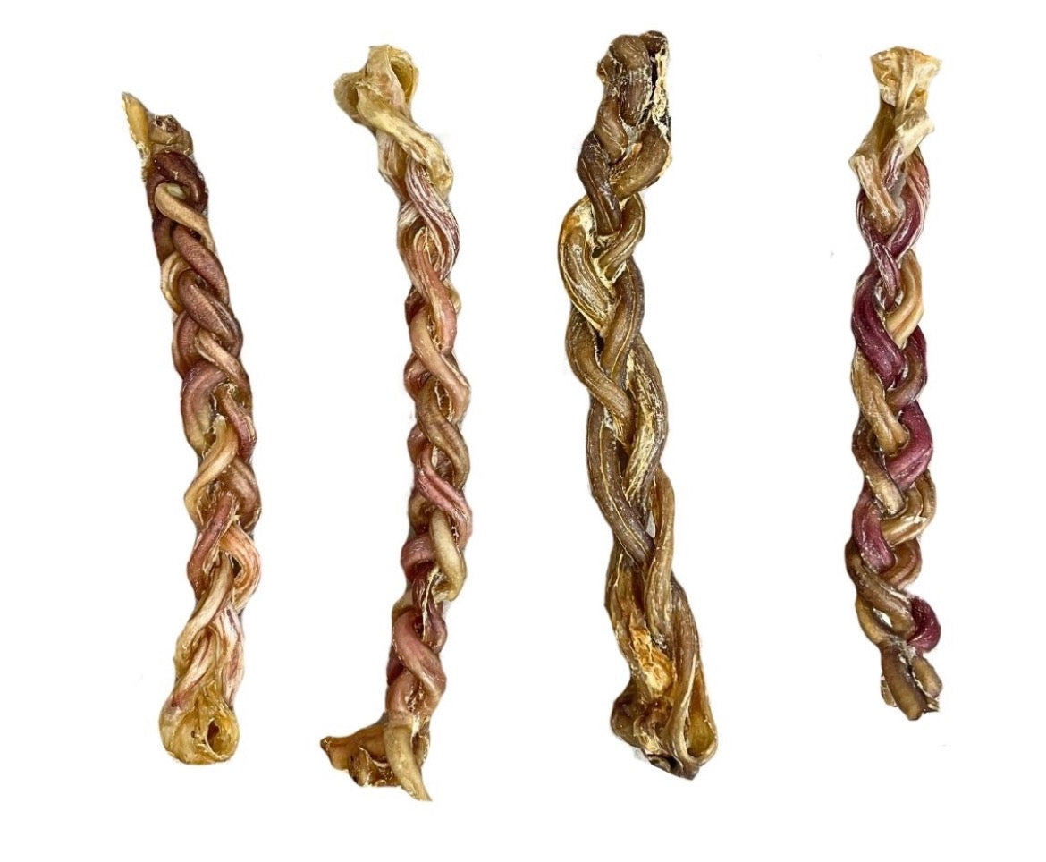 Braided Beef Pizzle 35CM+