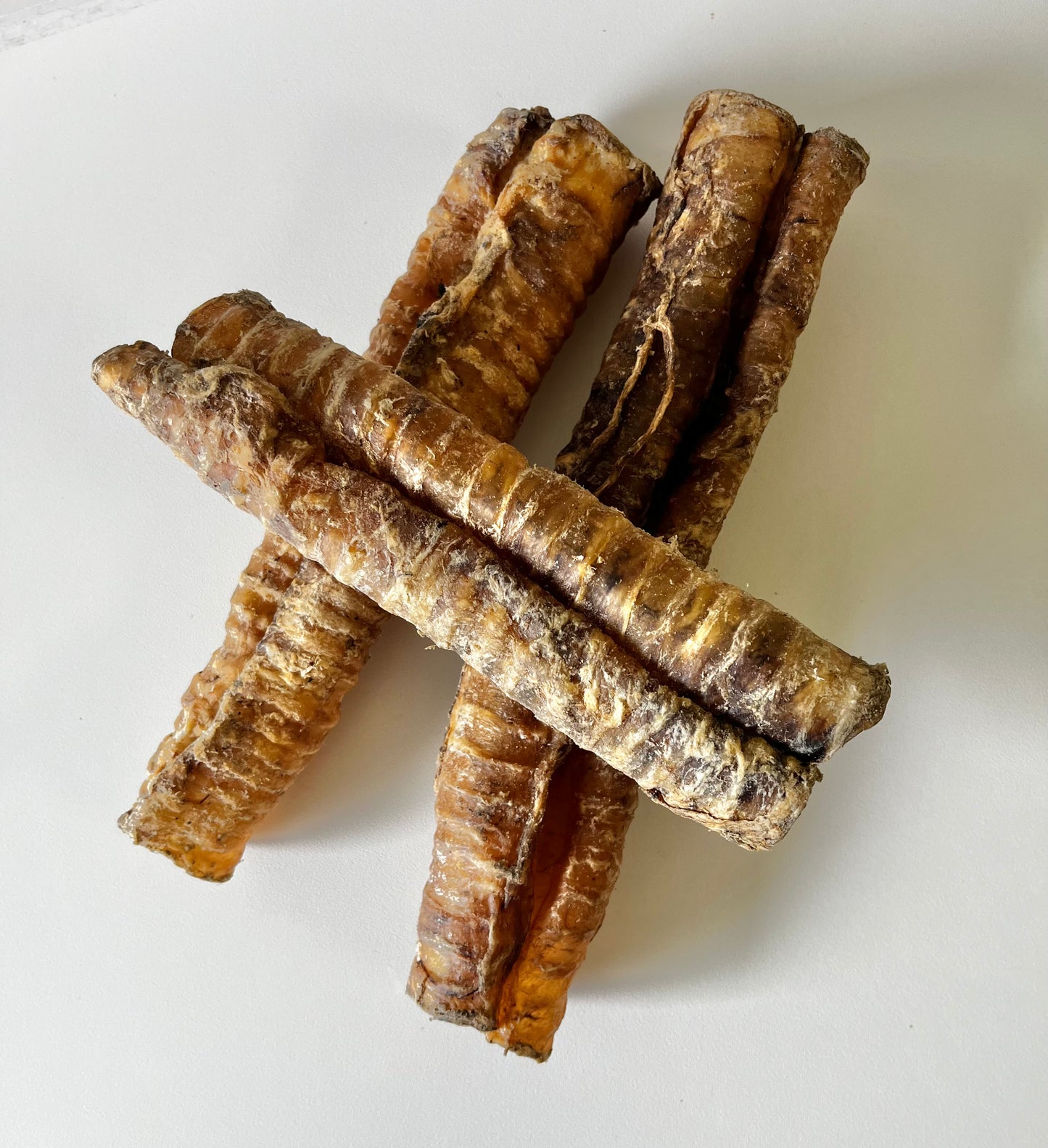 Buffalo Trachea