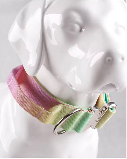 Ombre Padded Tactical Dog Collars and Leads