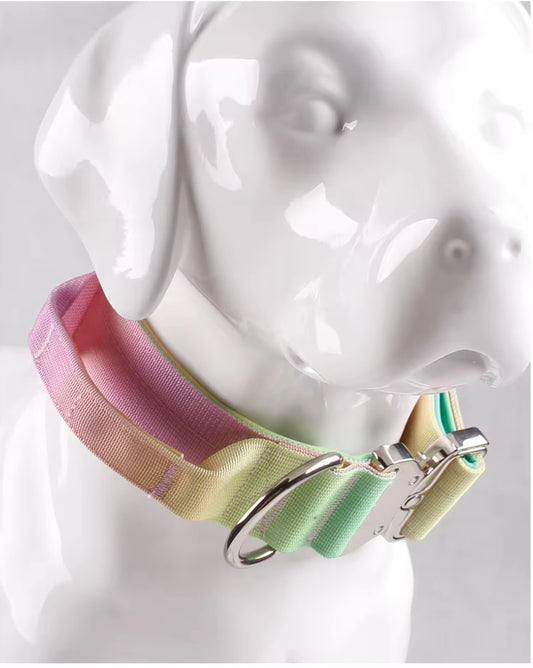 Ombre Padded Tactical Dog Collars and Leads