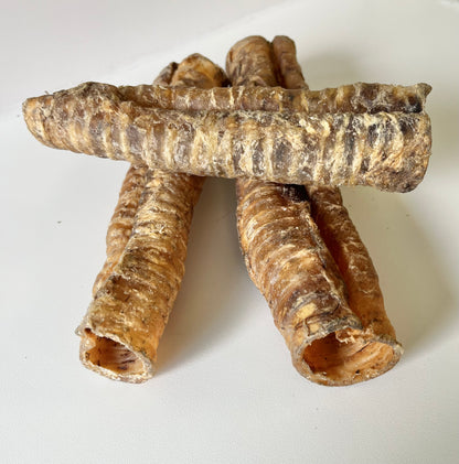 Buffalo Trachea