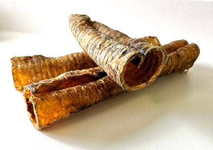 Buffalo Trachea