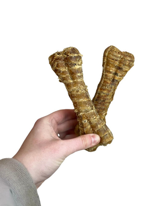 Buffalo Trachea Bones