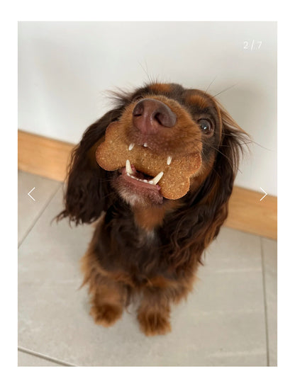 Make-Your-Own Dog Treats: Cinnamon Apple & Peanut Flavour with Cookie Cutter!