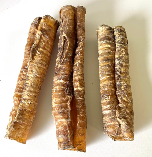 Buffalo Trachea