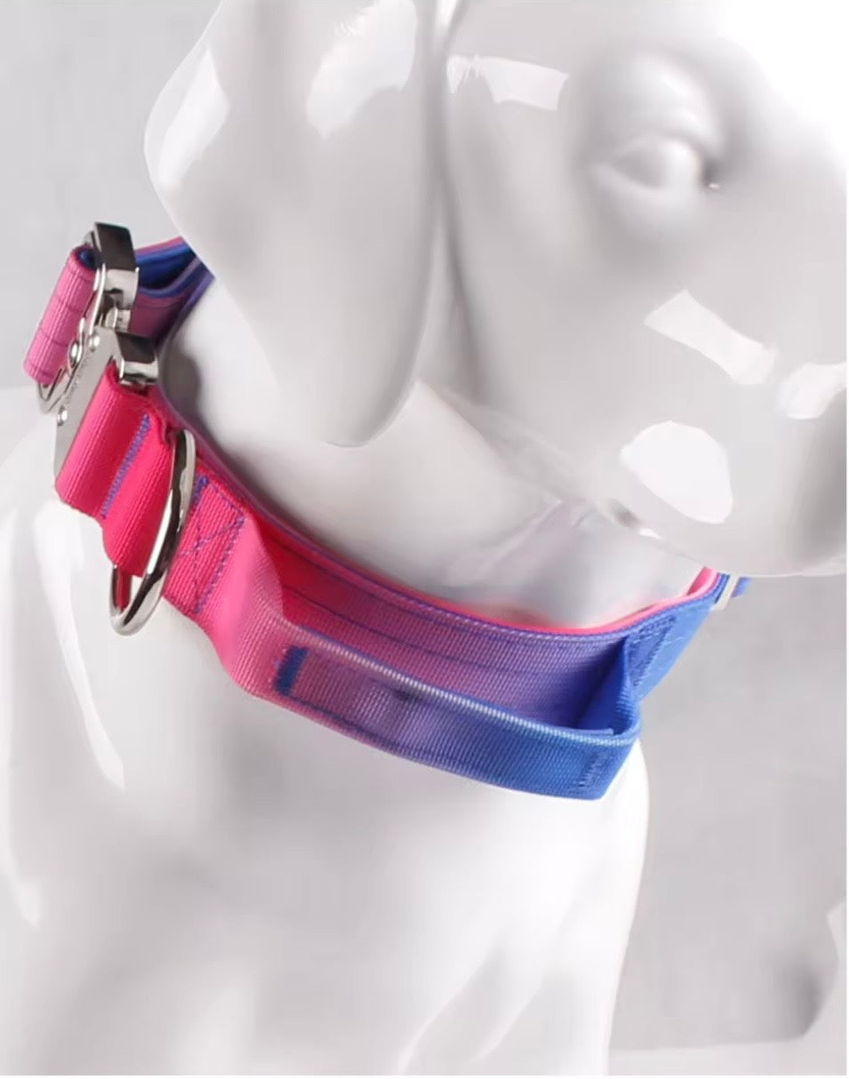 Ombre Padded Tactical Dog Collars and Leads