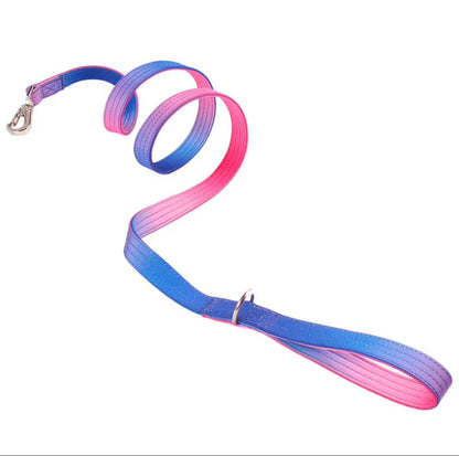 Ombre Padded Tactical Dog Collars and Leads
