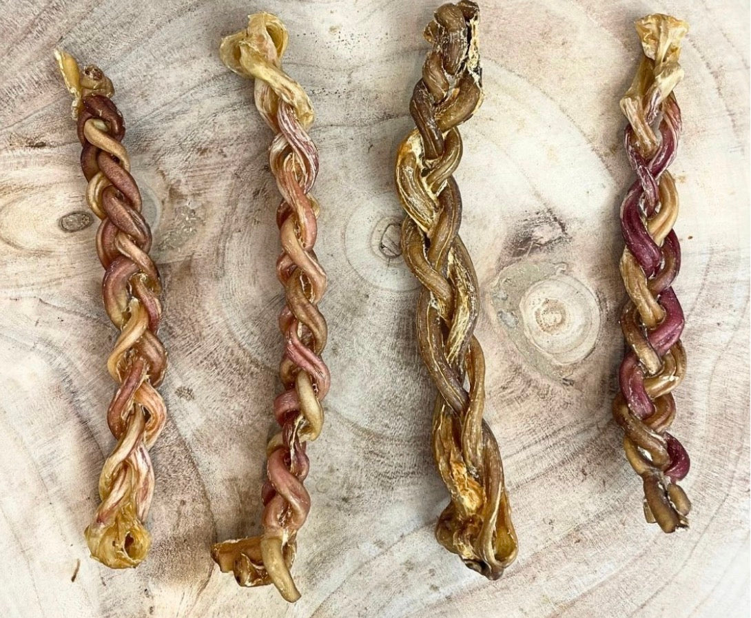 Braided Beef Pizzle 35CM+
