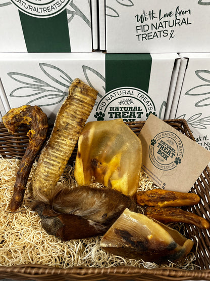 The Big Chew Box