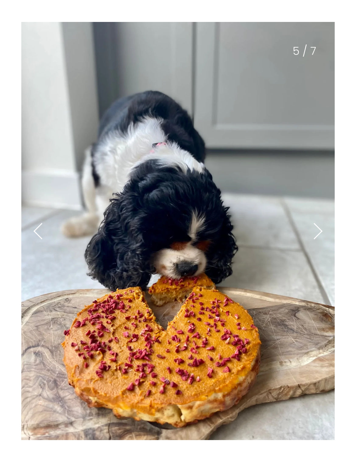 Dog Cake Mix - Grain Free