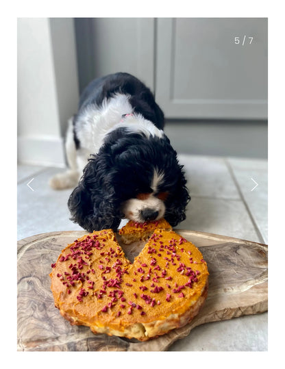 Dog Cake Mix - Grain Free