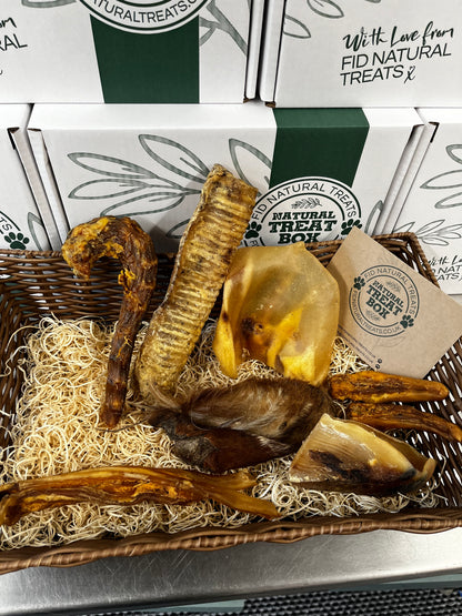The Big Chew Box
