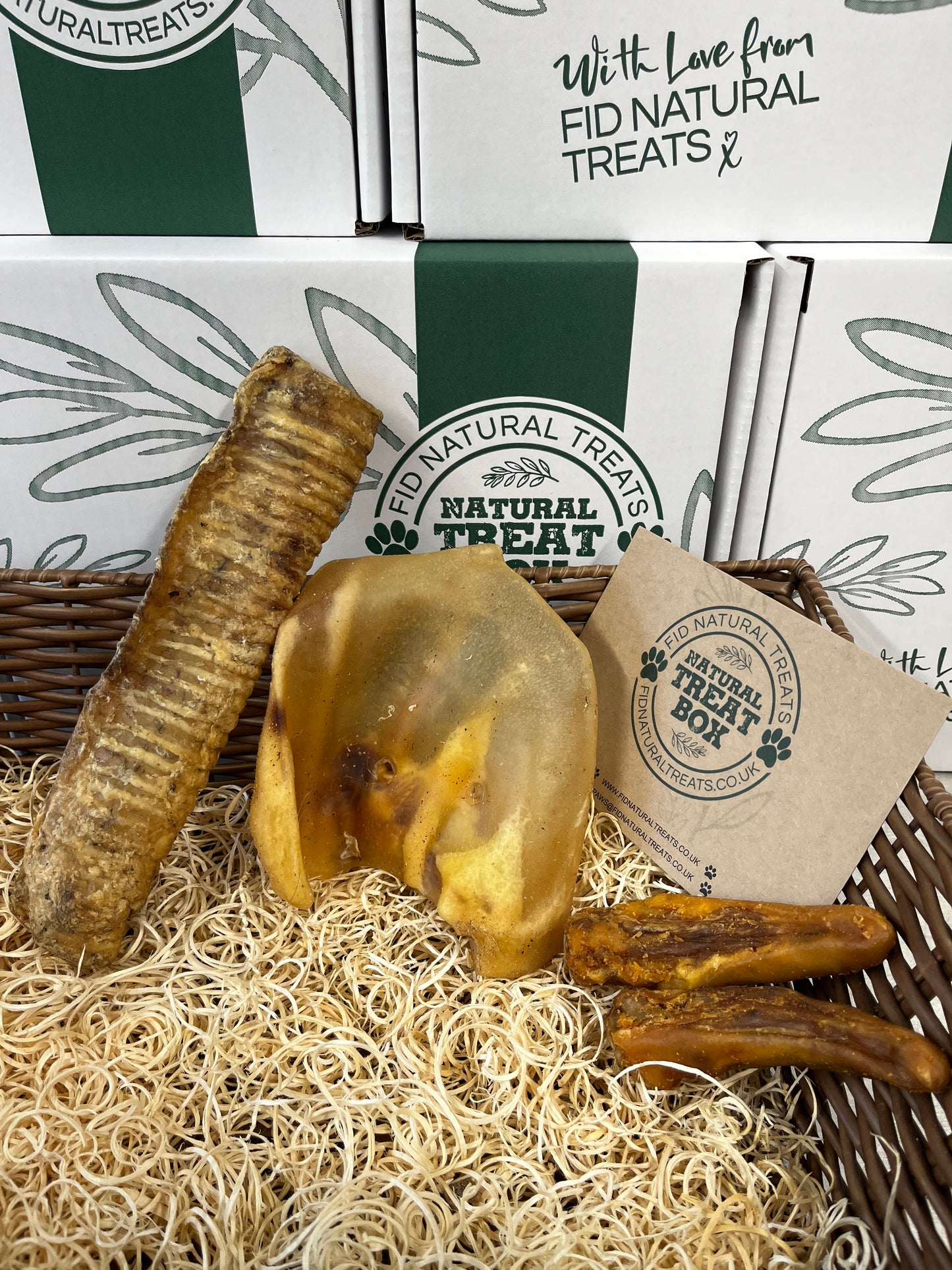 The Big Chew Box