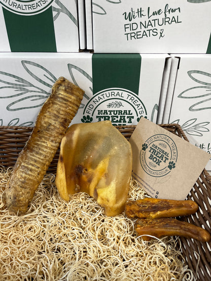 The Big Chew Box