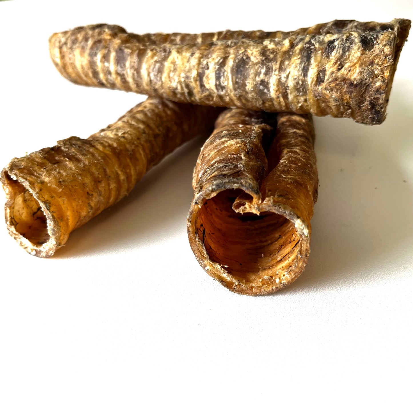 Buffalo Trachea