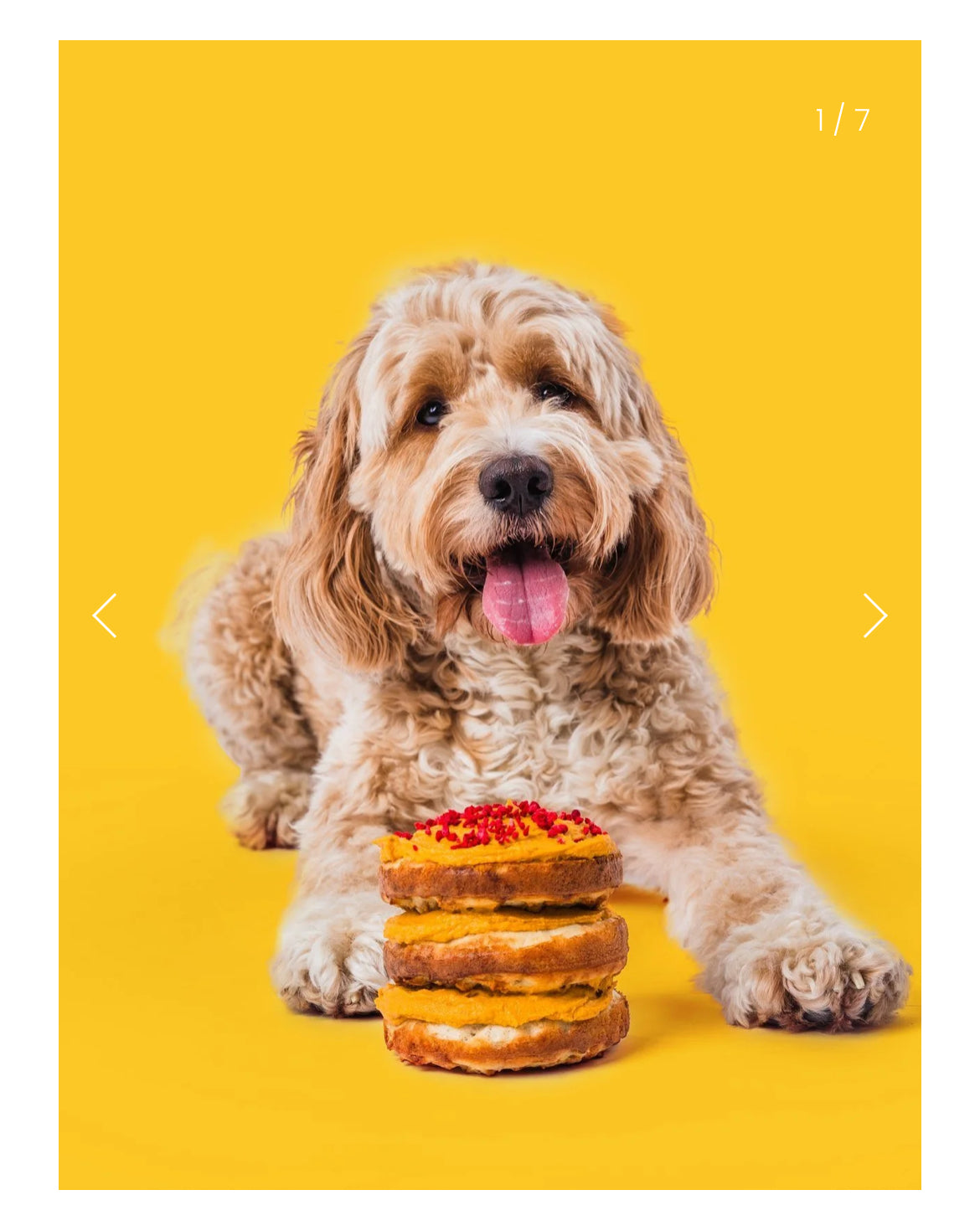 Dog Cake Mix - Grain Free