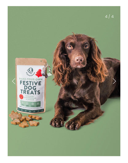 Bake-Your-Own Christmas Dog Treats: Scrummy Gingerbread Flavour 🎄