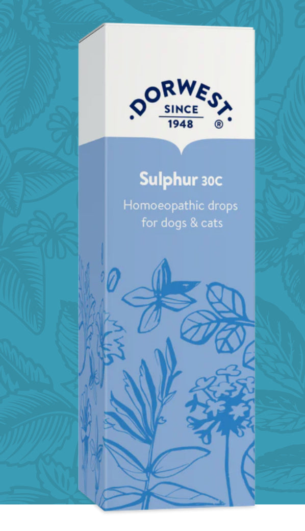 Itchy Skin - Sulphur 30C - 15ml Liquid