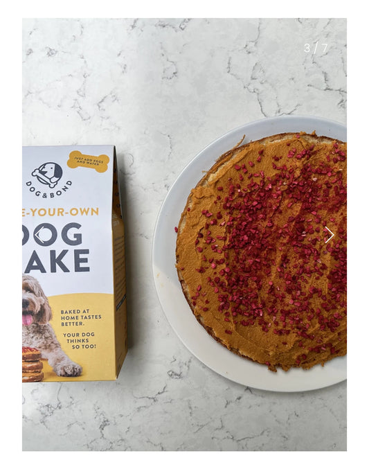 Dog Cake Mix - Grain Free