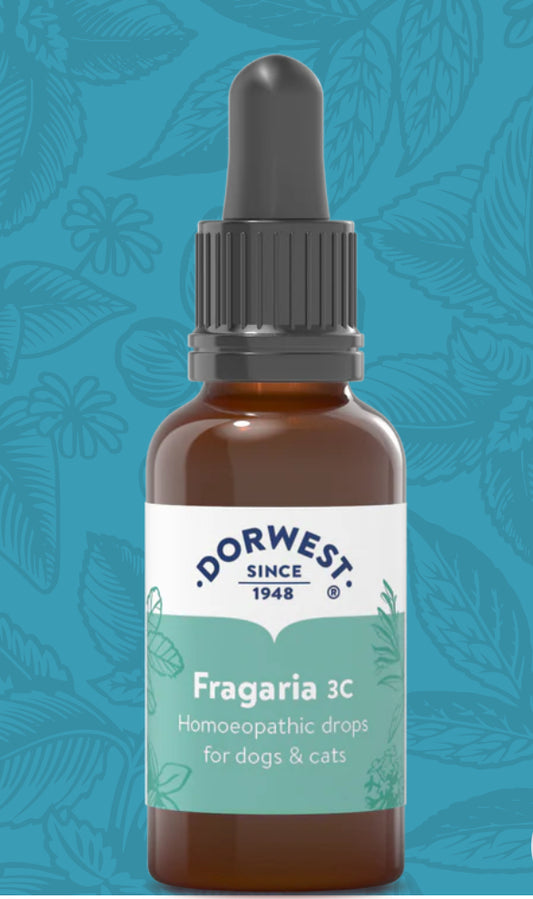 Dorwest Dental Health - Fragaria 3C - 15ml Liquid