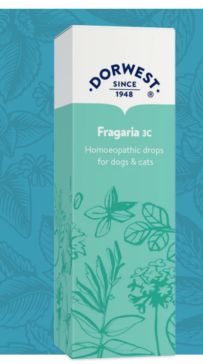 Dorwest Dental Health - Fragaria 3C - 15ml Liquid