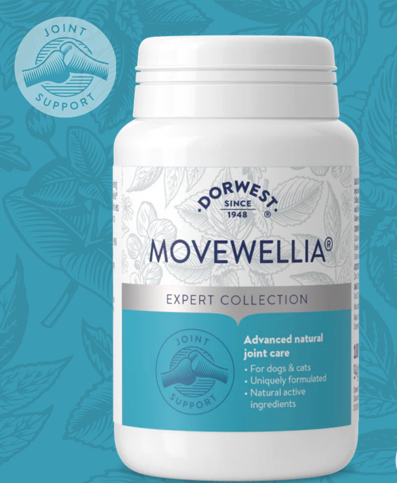 Dorwest Joint Support - MoveWellia® Tablets For Dogs And Cats - 100 Tablets