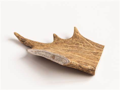 Fallow Deer Antler 75 - 150g