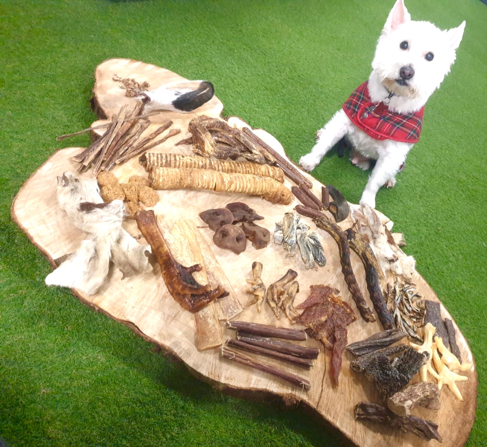 Natural Treats And Complete Feeds For Dogs FID Natural Treats natural-treats-and-complete-feeds-for-dogs-fid-natural-treats