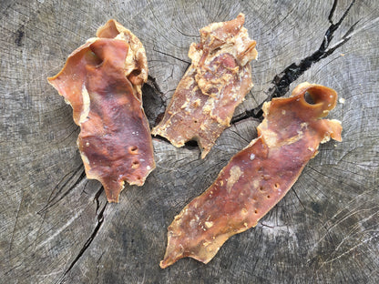 Beef Aorta (Moon Bone) - Each