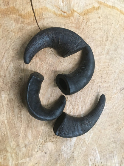 Buffalo Horn