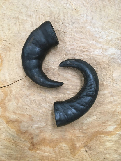 Buffalo Horn